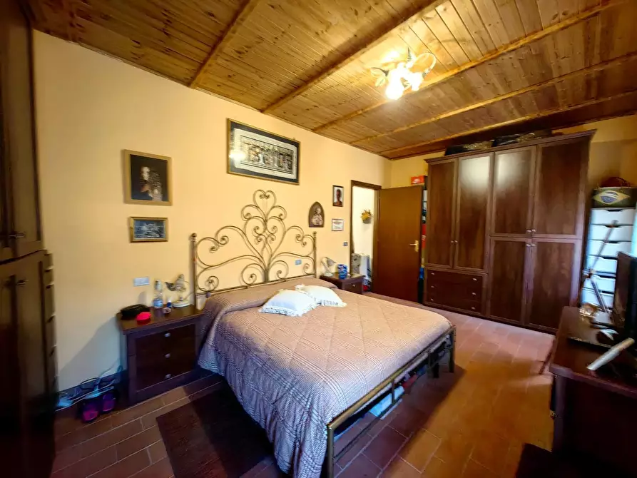 Immagine 14 di Terratetto in vendita  a Crespina Lorenzana