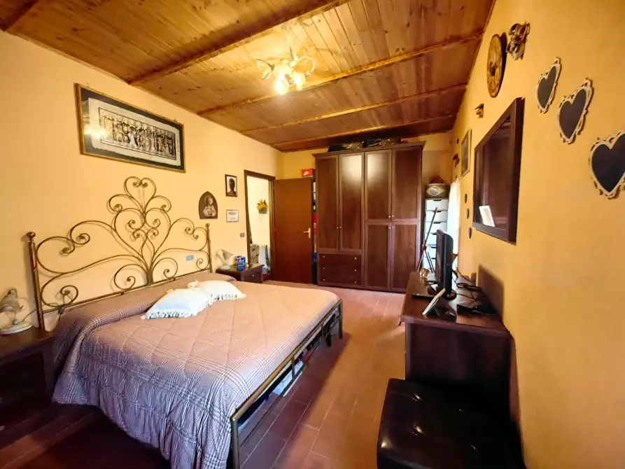 Immagine 13 di Terratetto in vendita  a Crespina Lorenzana