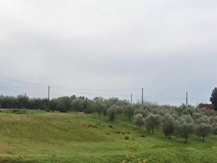 Immagine 1 di Terreno agricolo in vendita  a Lamporecchio