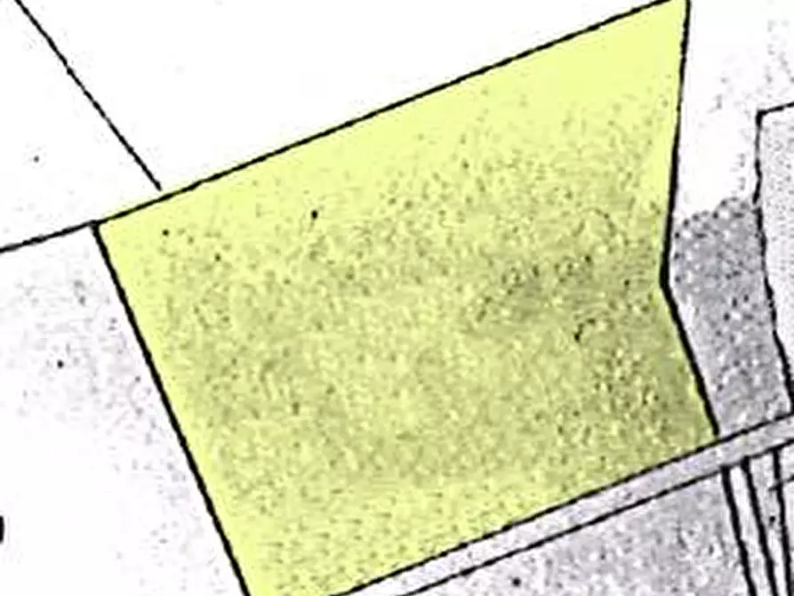 Immagine 2 di Terreno agricolo in vendita  a Lamporecchio