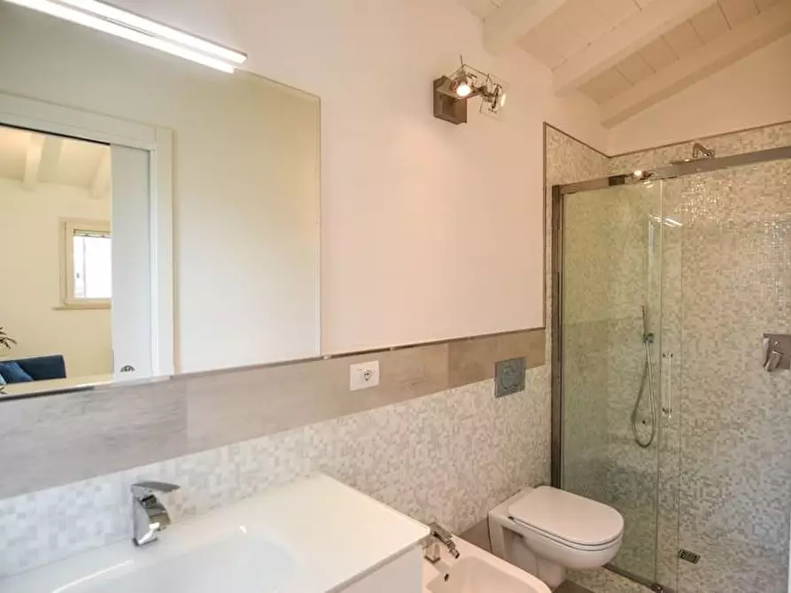 Immagine 56 di Villa in affitto  a Pietrasanta