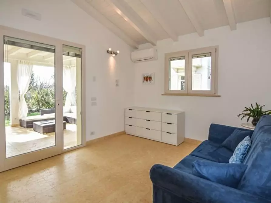 Immagine 55 di Villa in affitto  a Pietrasanta