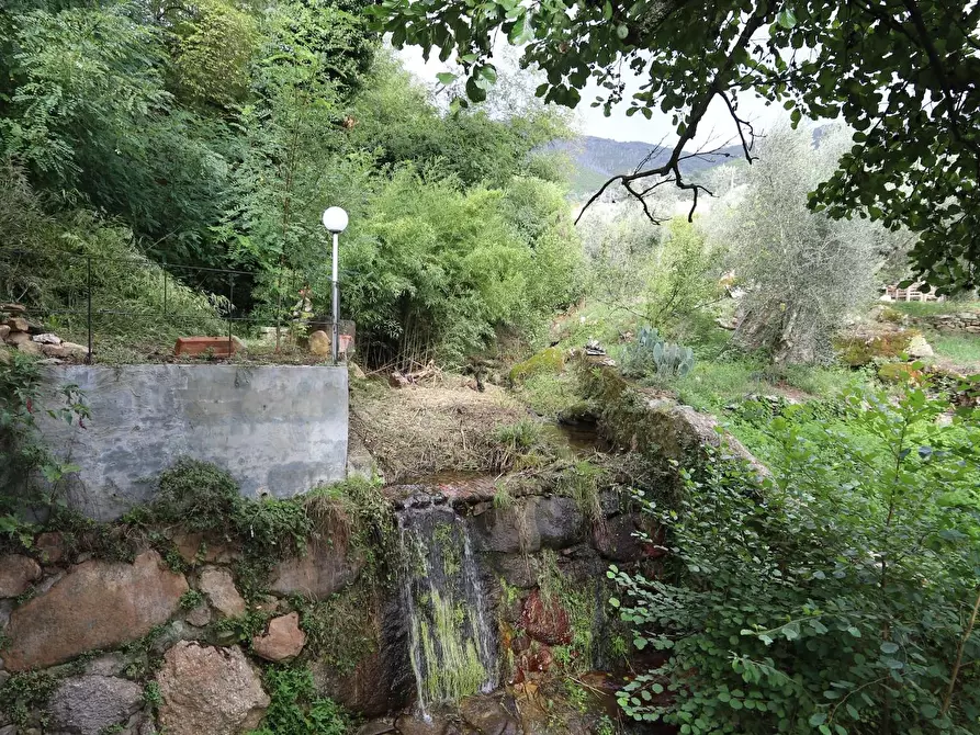 Immagine 13 di Casa indipendente in vendita  a Calci