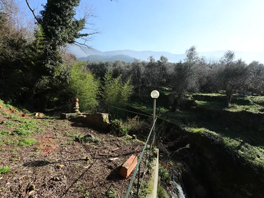 Immagine 11 di Casa indipendente in vendita  a Calci