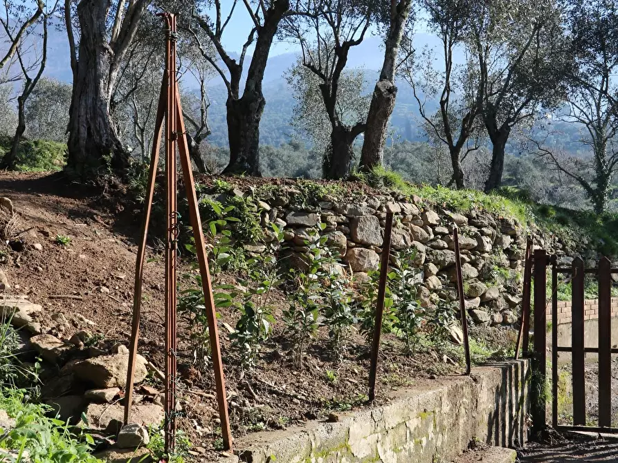 Immagine 12 di Casa indipendente in vendita  a Calci
