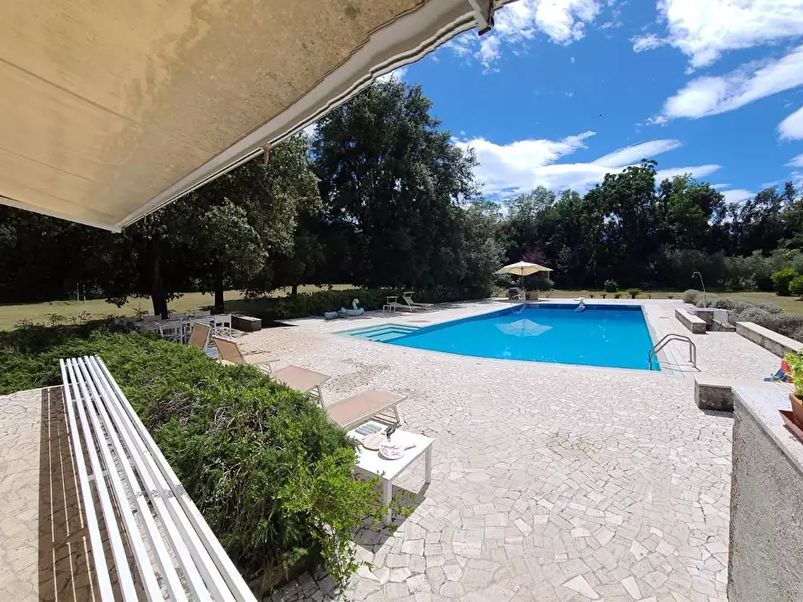 Immagine 2 di Villa in affitto  a Pietrasanta