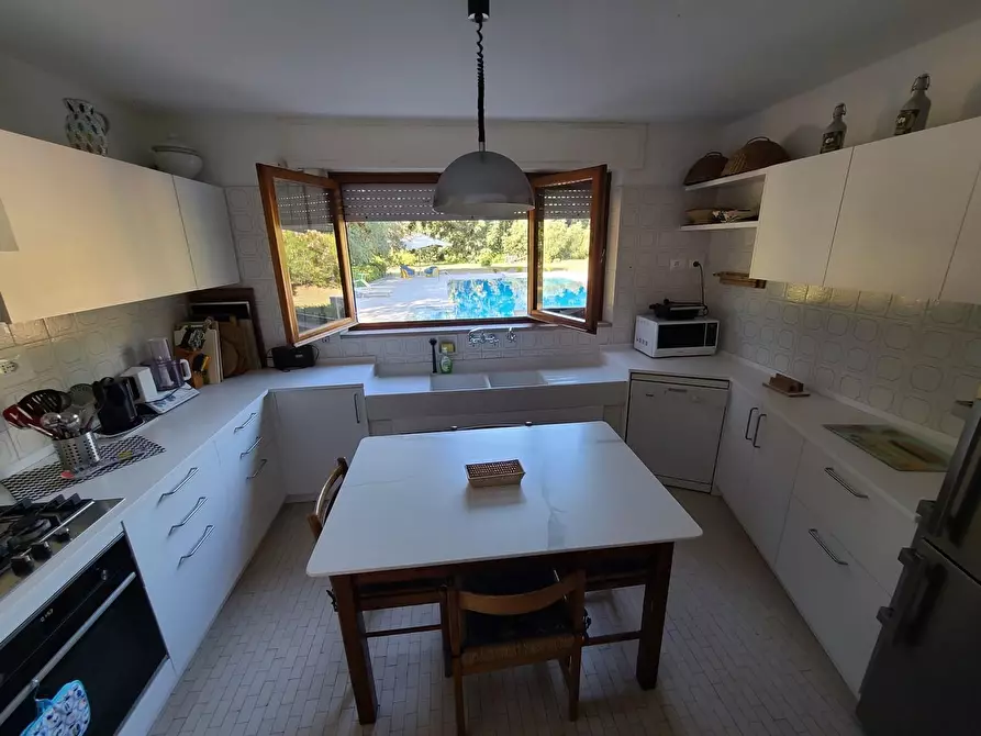 Immagine 27 di Villa in affitto  a Pietrasanta