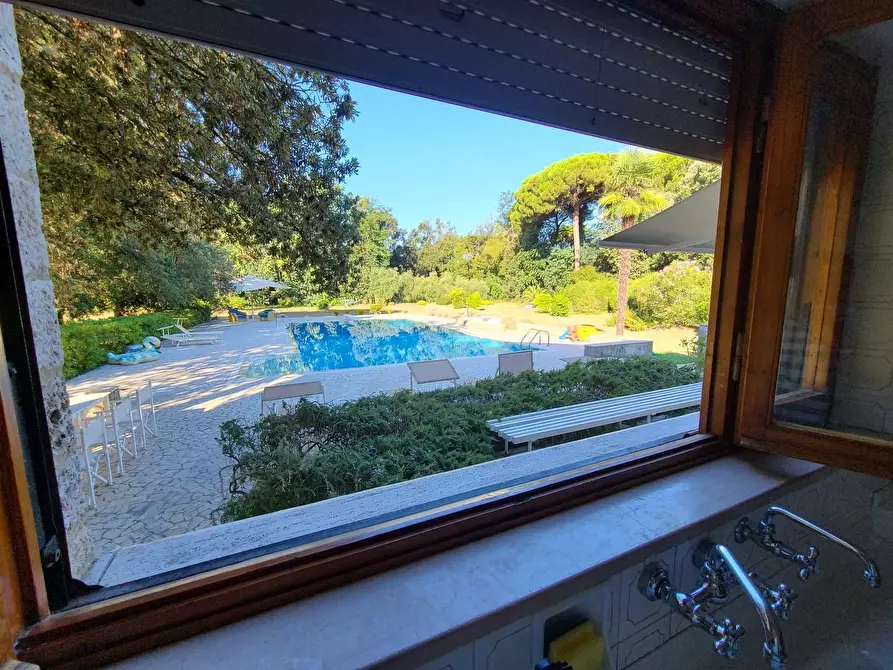 Immagine 26 di Villa in affitto  a Pietrasanta