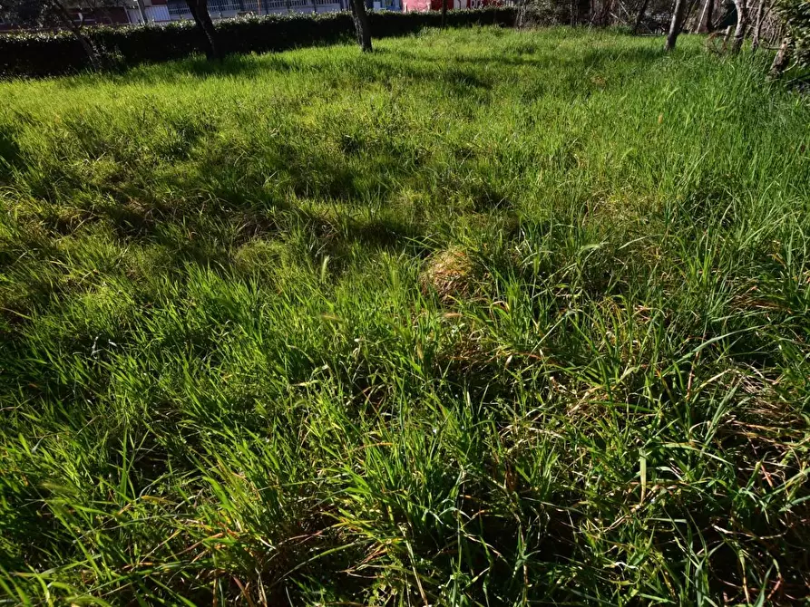 Immagine 26 di Appartamento in vendita  a Castelfiorentino