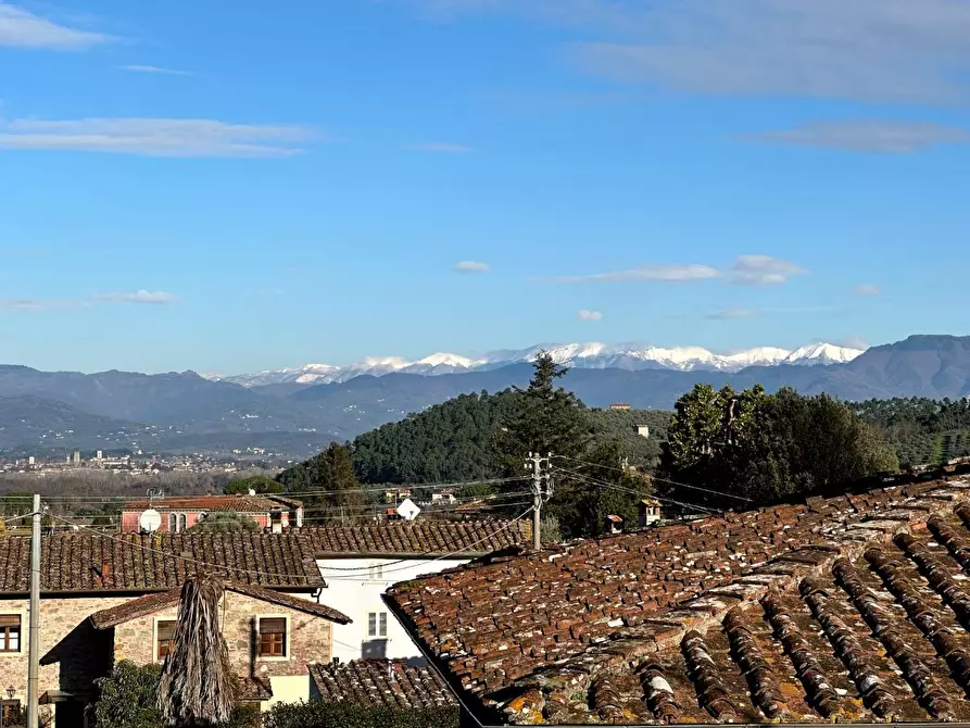 Immagine 17 di Terratetto in vendita  a Capannori