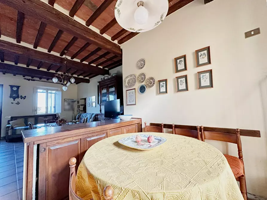 Immagine 7 di Terratetto in vendita  a Capannori