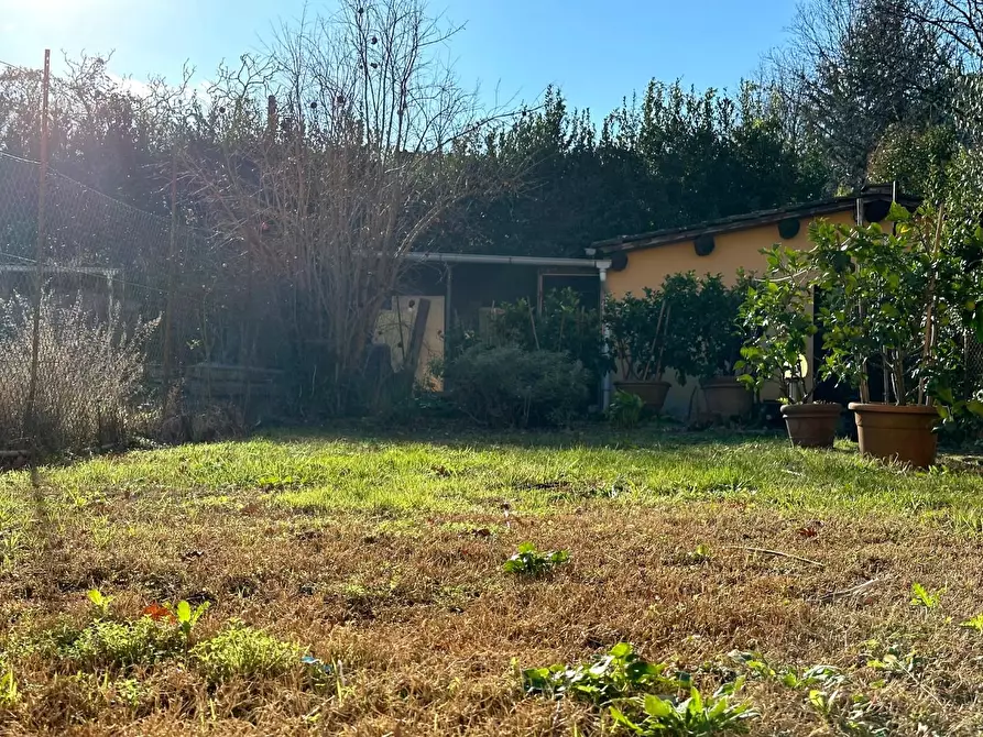 Immagine 21 di Terratetto in vendita  a Capannori