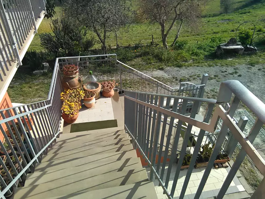 Immagine 18 di Azienda agricola in vendita  a Montaione