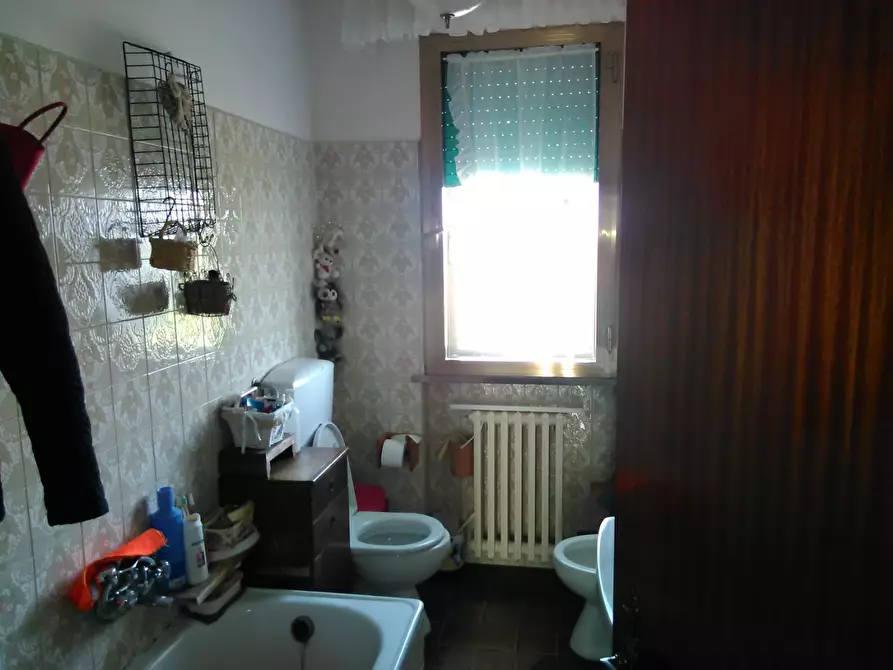 Immagine 15 di Azienda agricola in vendita  a Montaione