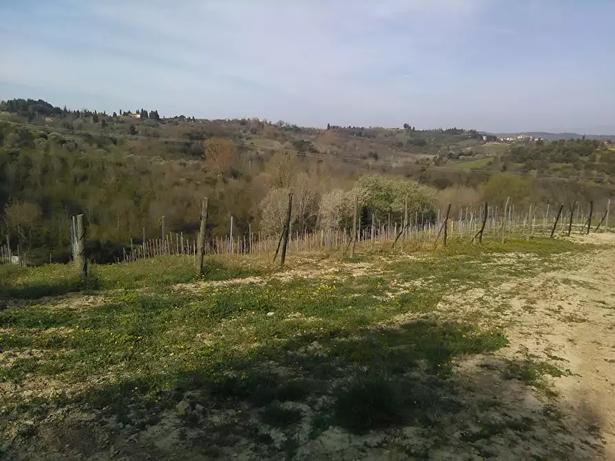 Immagine 5 di Azienda agricola in vendita  a Montaione