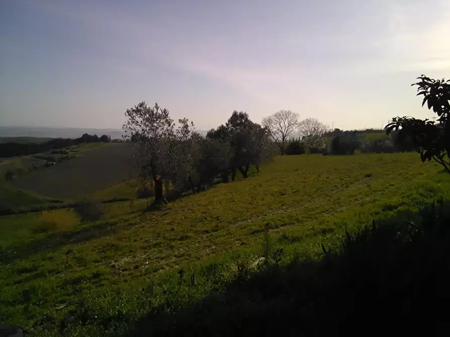 Immagine 9 di Azienda agricola in vendita  a Montaione