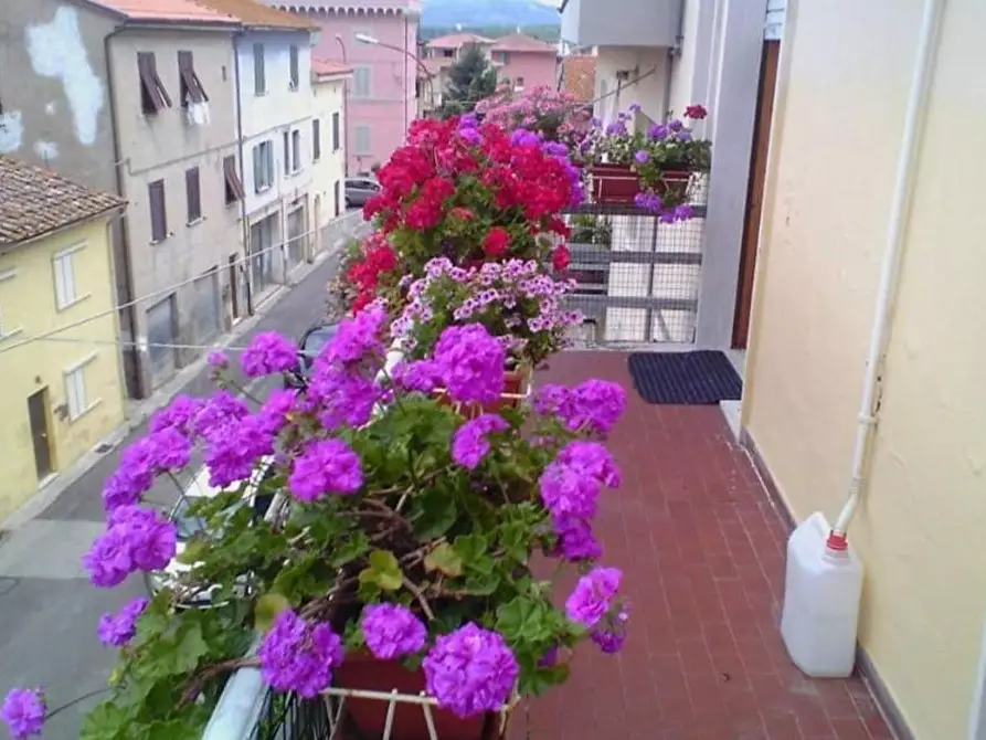 Immagine 20 di Appartamento in vendita  a Capannoli