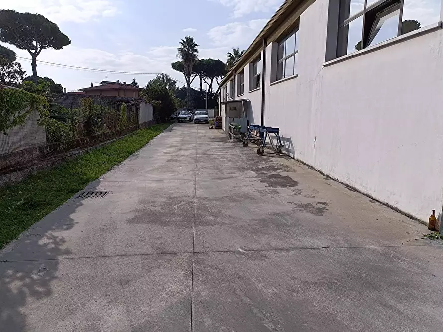 Immagine 23 di Capannone industriale in vendita  a Carrara