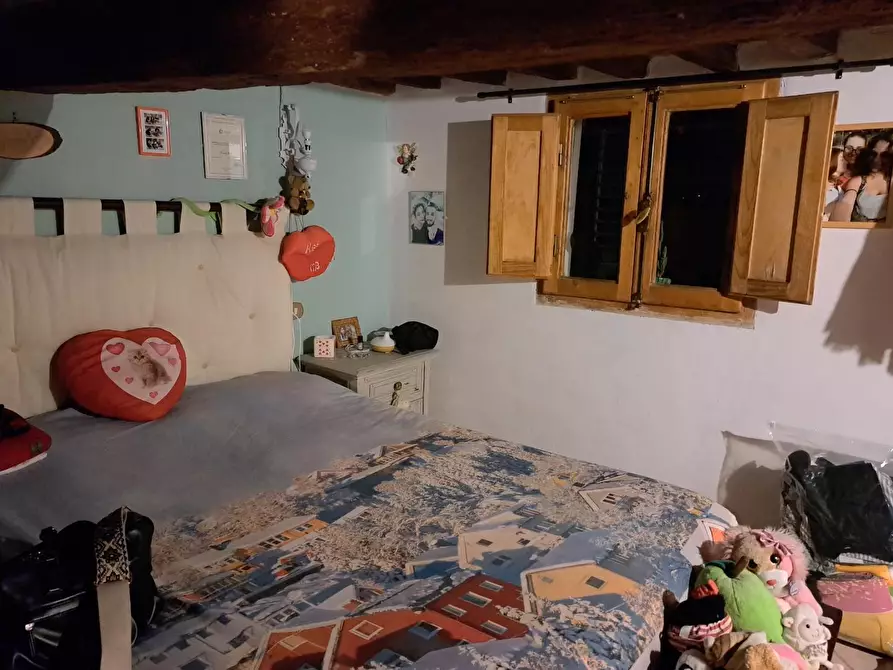 Immagine 17 di Appartamento in vendita  a Peccioli