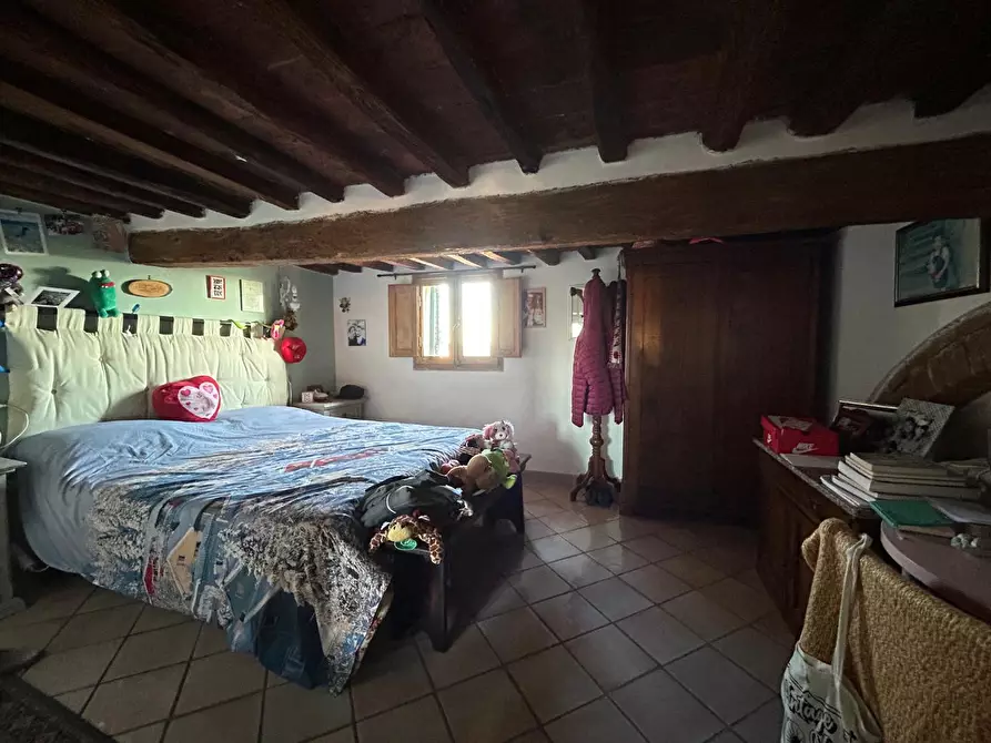 Immagine 19 di Appartamento in vendita  a Peccioli