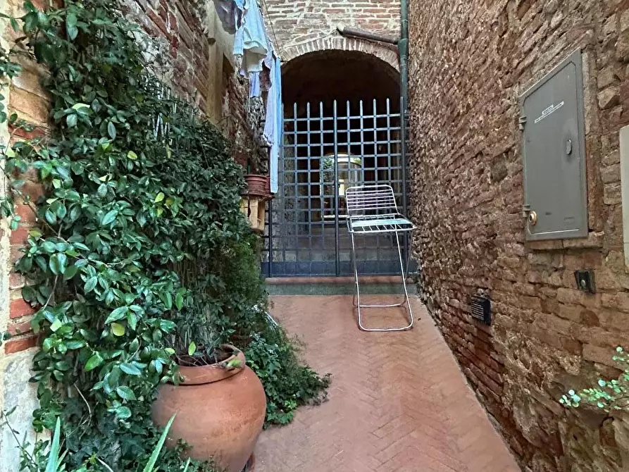 Immagine 25 di Appartamento in vendita  a Peccioli