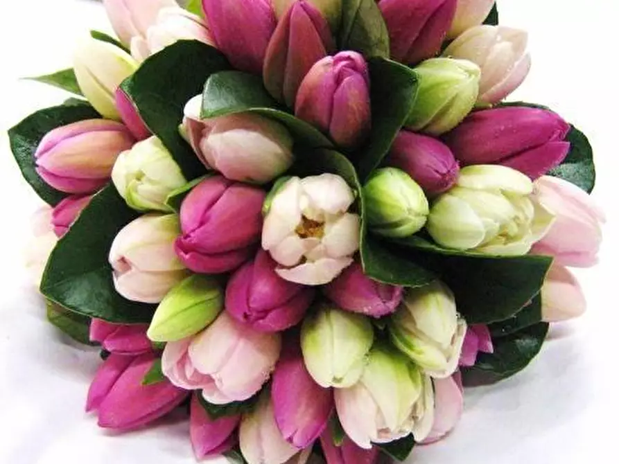 Immagine 5 di Attività commerciale in vendita  a Castelfranco Di Sotto