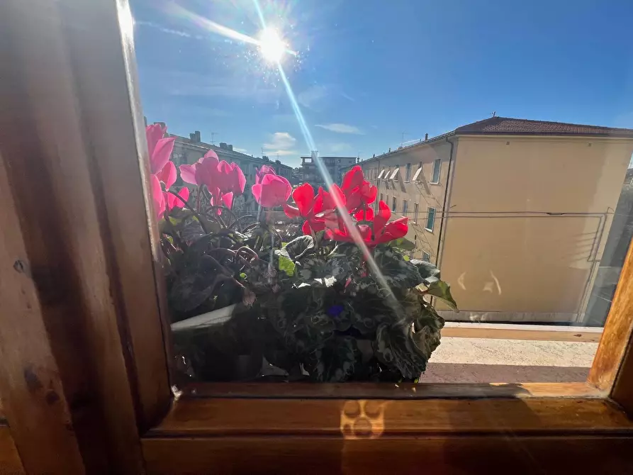 Immagine 16 di Appartamento in vendita  a Empoli