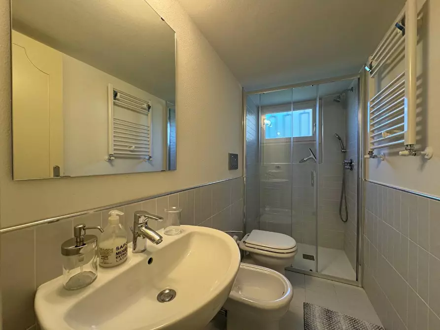 Immagine 12 di Villa in affitto  a Forte Dei Marmi