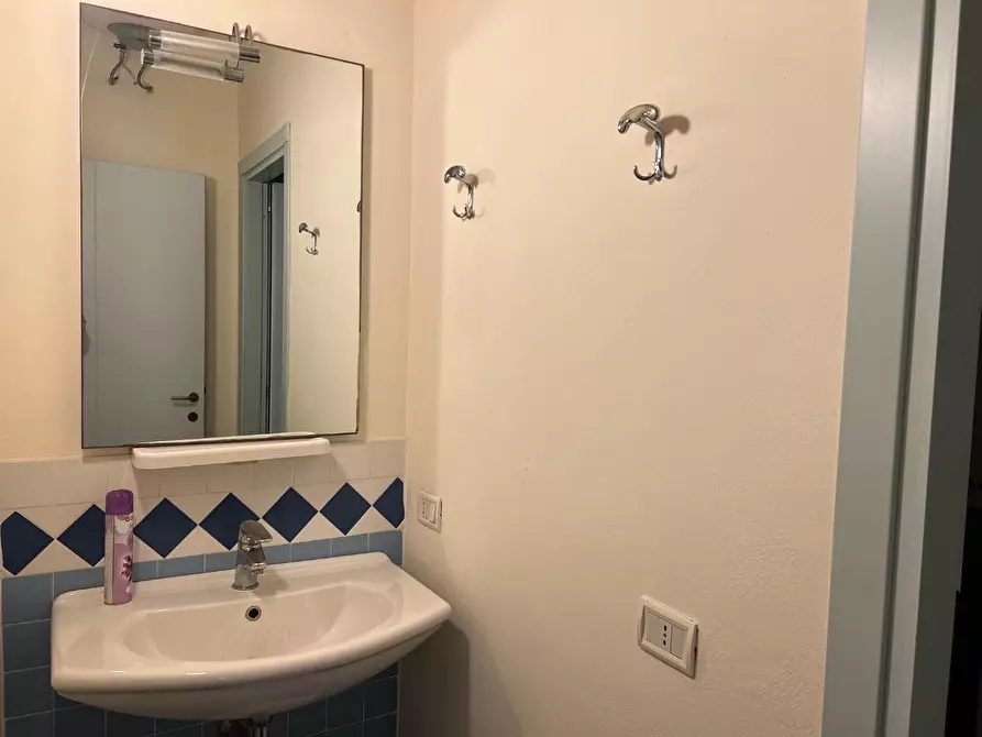 Immagine 5 di Appartamento in affitto  a Pisa