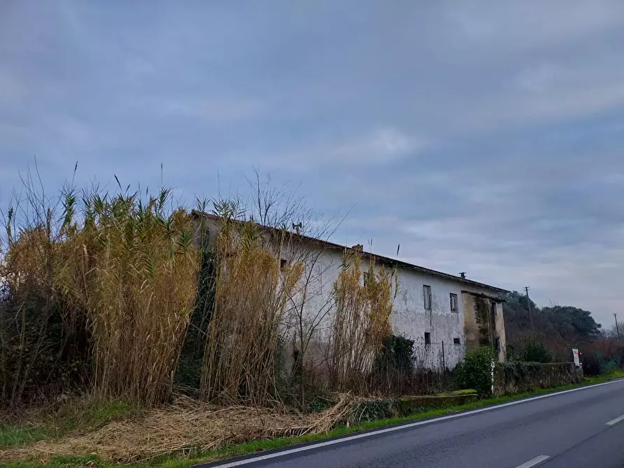 Immagine 12 di Porzione di casa in vendita  a Cascina