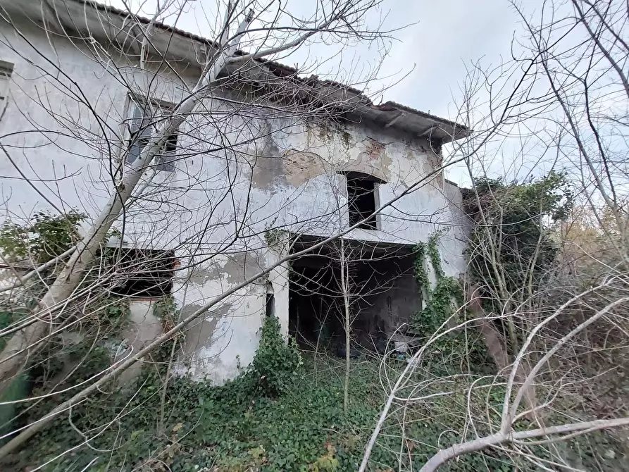 Immagine 3 di Porzione di casa in vendita  a Cascina
