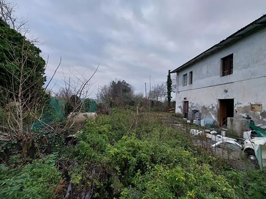 Immagine 5 di Porzione di casa in vendita  a Cascina
