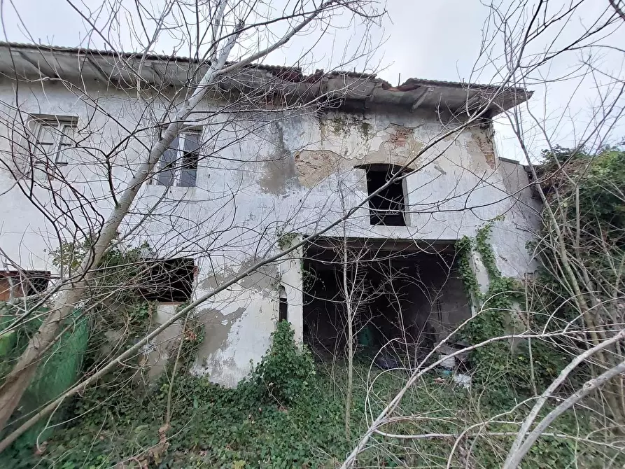 Immagine 8 di Porzione di casa in vendita  a Cascina