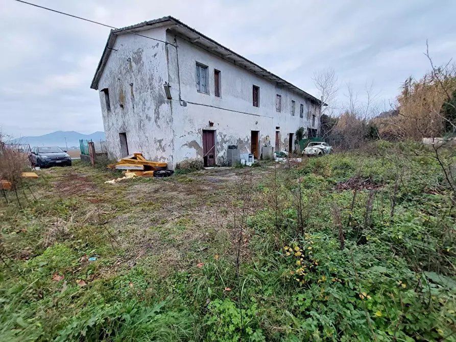 Immagine 7 di Porzione di casa in vendita  a Cascina