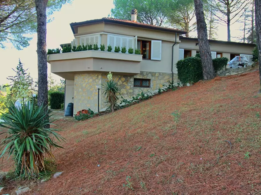 Immagine 8 di Villa in vendita  a Casciana Terme Lari