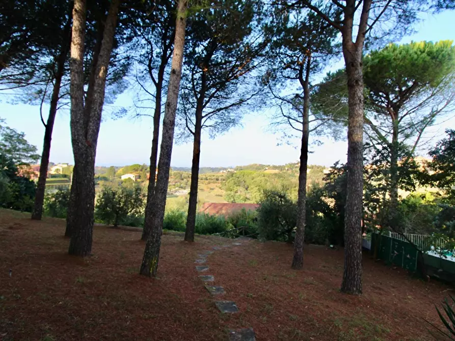 Immagine 33 di Villa in vendita  a Casciana Terme Lari