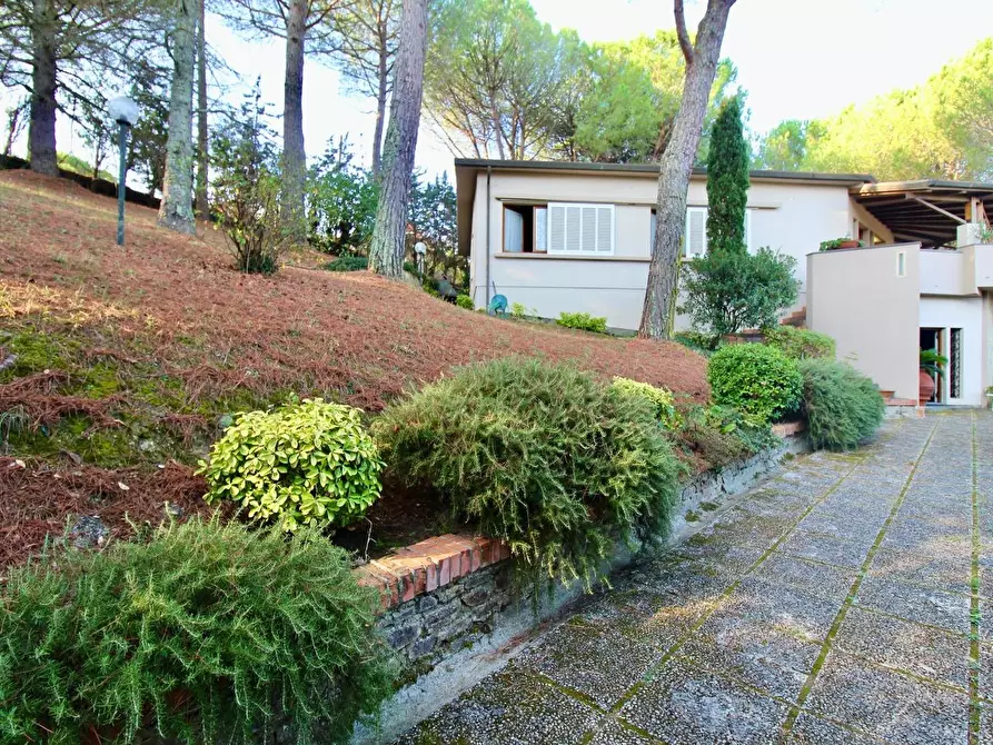 Immagine 5 di Villa in vendita  a Casciana Terme Lari