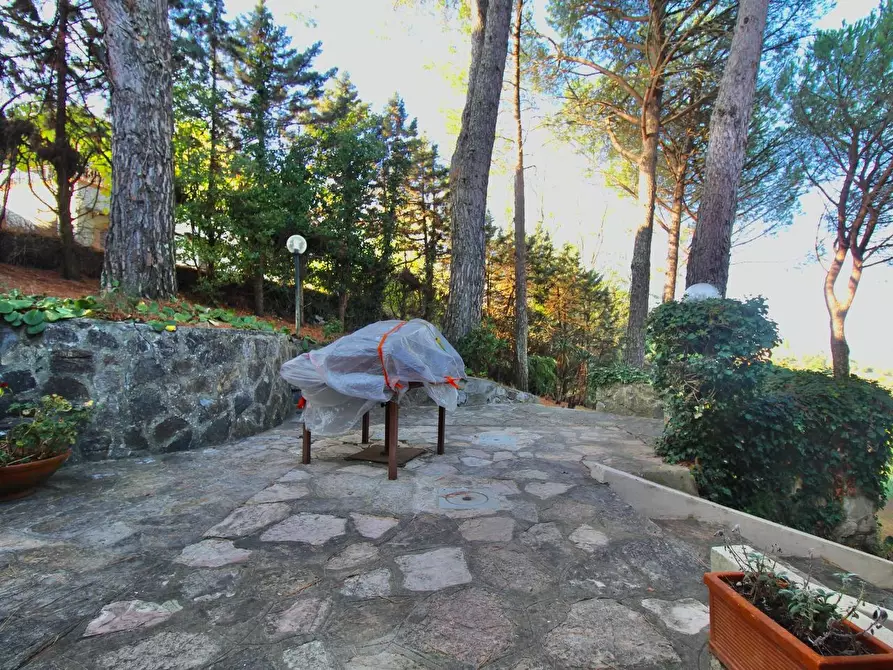 Immagine 19 di Villa in vendita  a Casciana Terme Lari