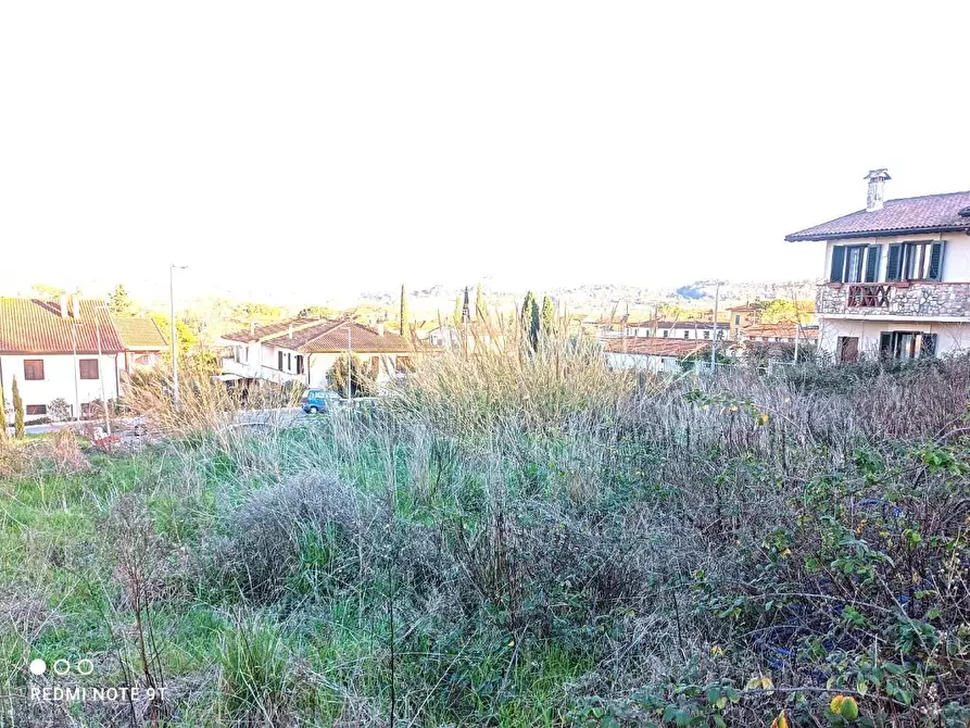Immagine 1 di Terreno residenziale in vendita  a Terricciola