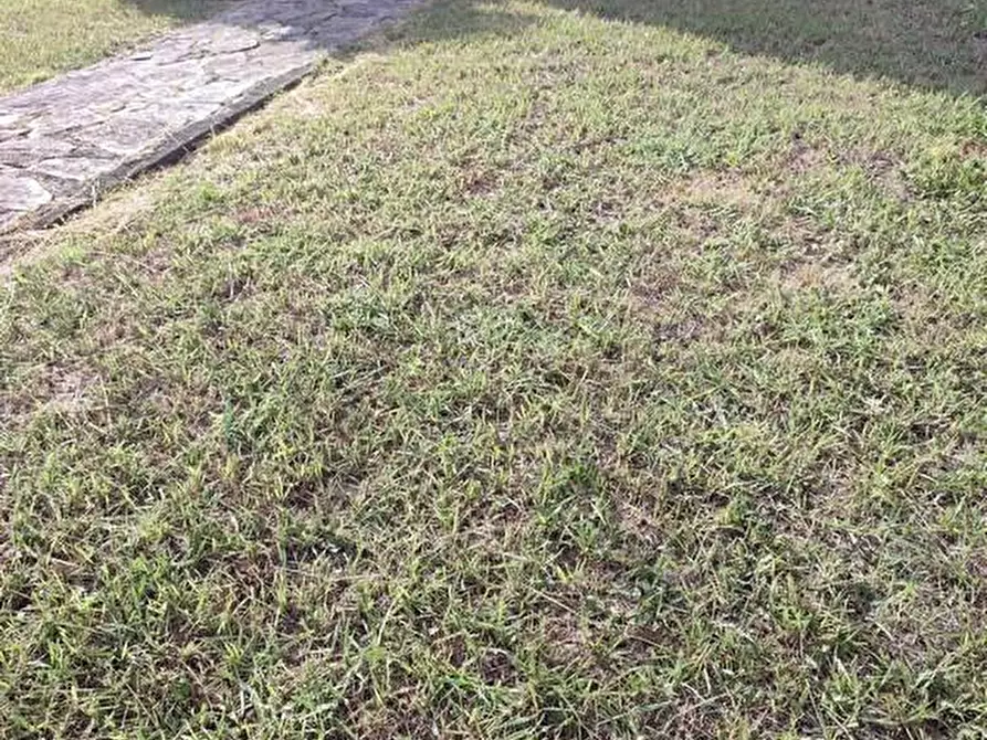 Immagine 42 di Casa semindipendente in vendita  a Castelnuovo Magra