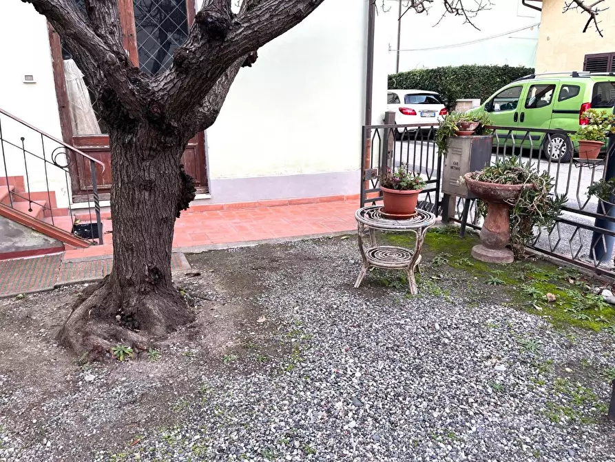 Immagine 4 di Appartamento in vendita  a Bibbona