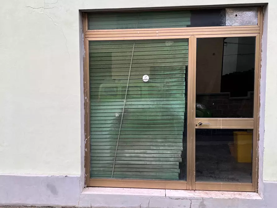 Immagine 22 di Appartamento in vendita  a Bibbona