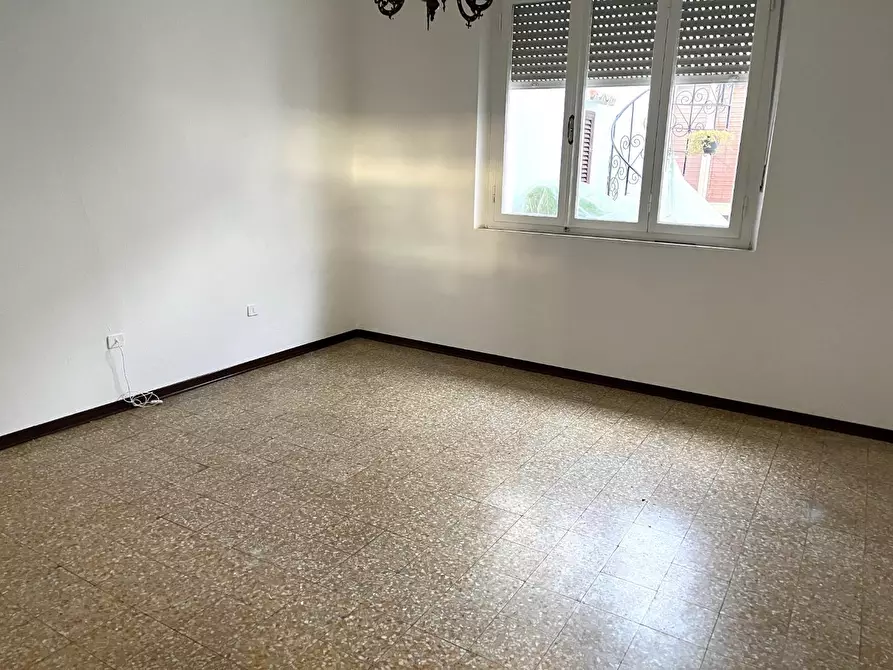 Immagine 12 di Appartamento in vendita  a Bibbona