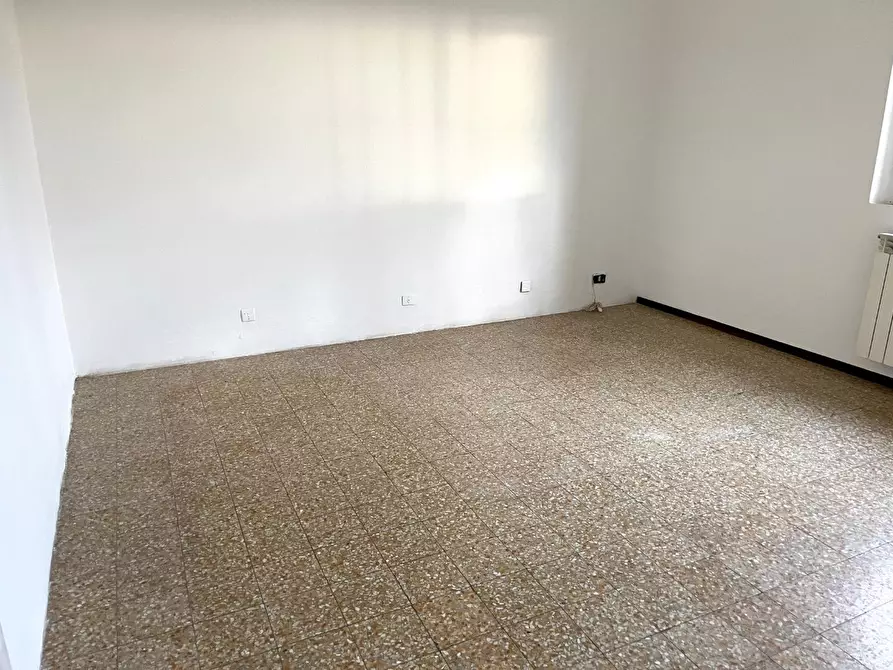 Immagine 20 di Appartamento in vendita  a Bibbona