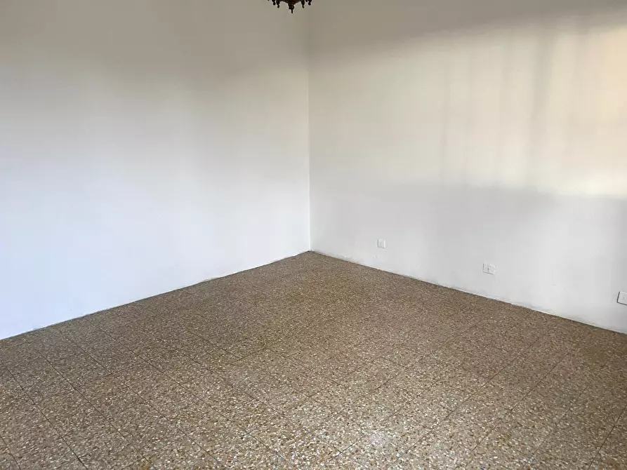 Immagine 21 di Appartamento in vendita  a Bibbona