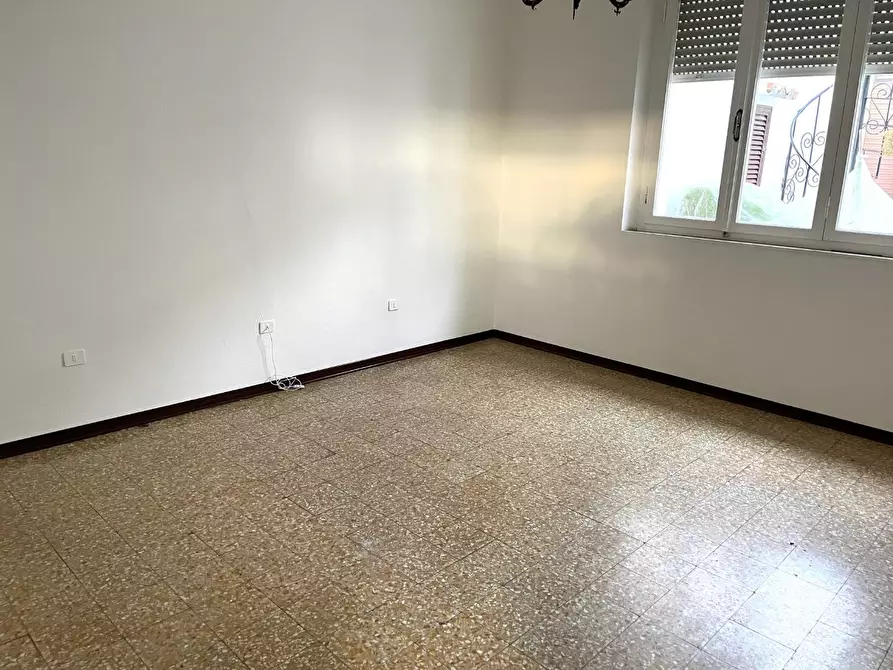 Immagine 11 di Appartamento in vendita  a Bibbona