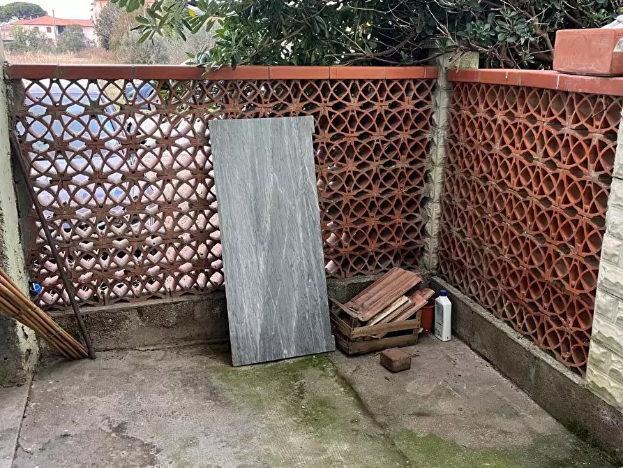 Immagine 3 di Appartamento in vendita  a Bibbona