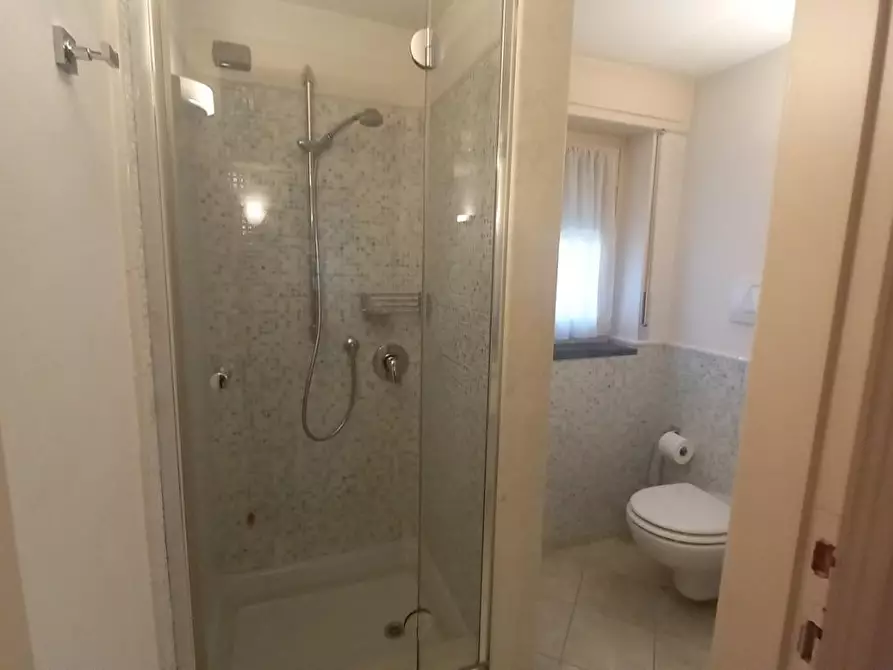 Immagine 131 di Villa in vendita  a Camaiore