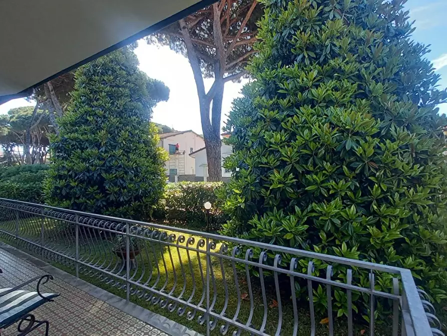 Immagine 60 di Villa in vendita  a Camaiore