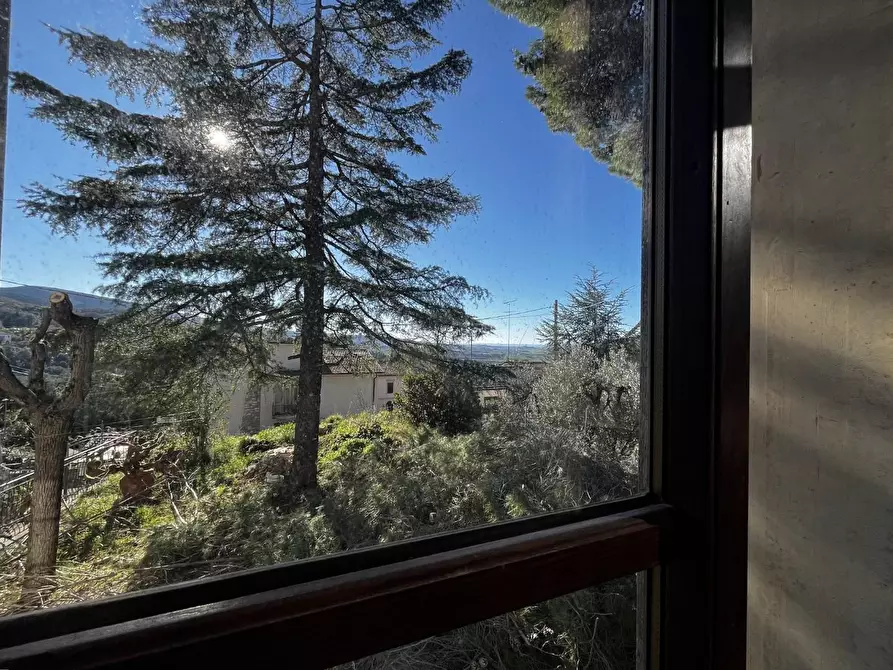 Immagine 33 di Villa in vendita  a Santa Luce